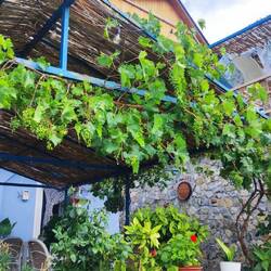 S'Guesthouse