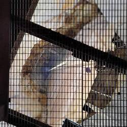 Blick in den 208m tiefen Brunnen