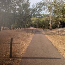 Pathway from the food trucks into the forest