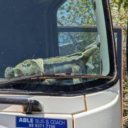 Our truck mascot