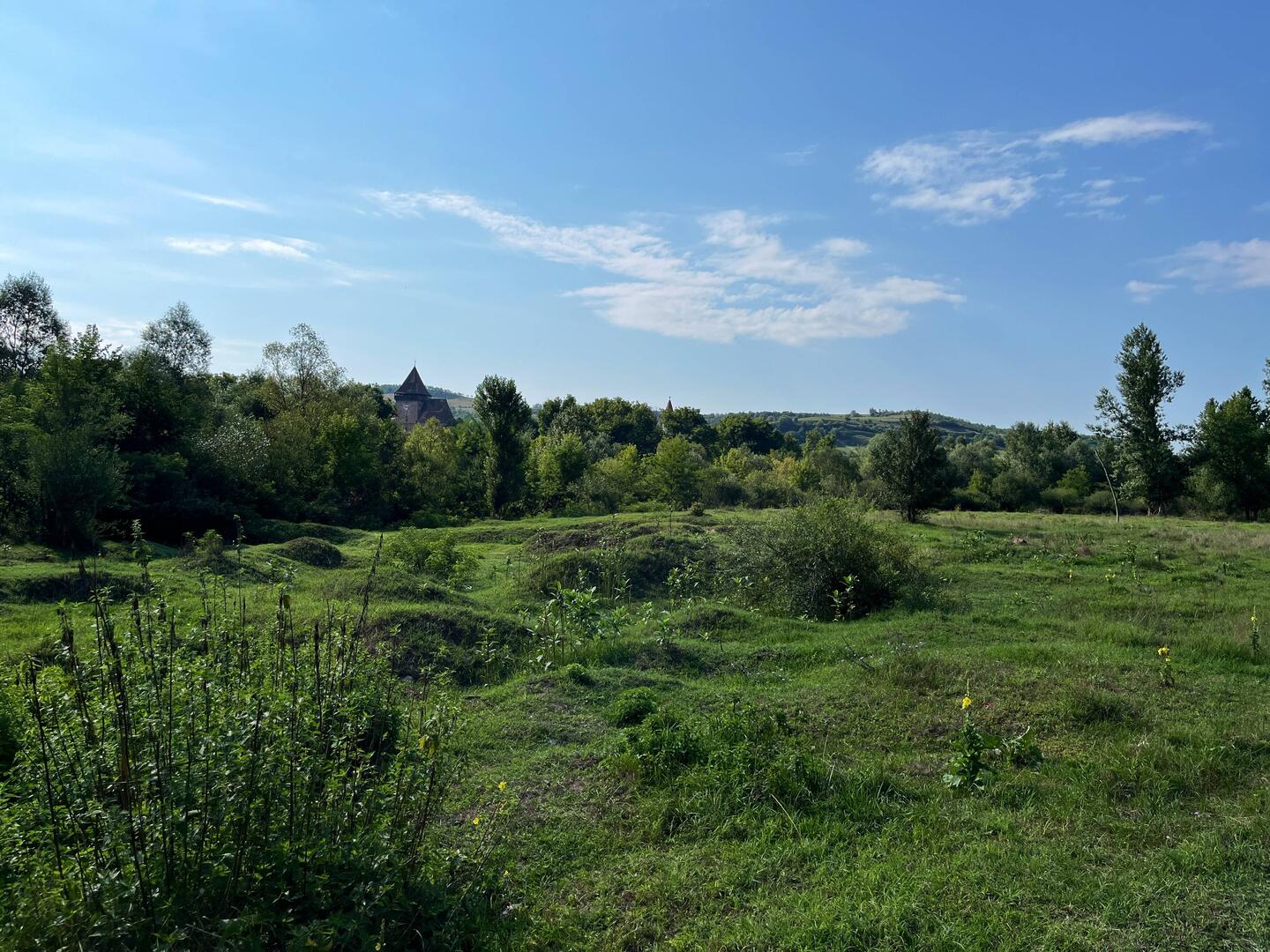 Entlang der Tănarva Mare