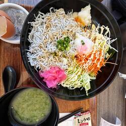 Regatta powered by shirasu!