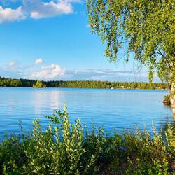 überall schön hier