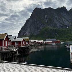 Reine