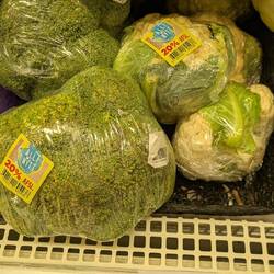 Preislevel: 1€= 145 Kronen