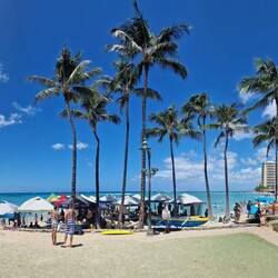 Waikiki Beach in Honolulu, legendär zum surven - heute mit einem Wettbewerb für die wirklich guten