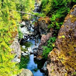 Harris Creek
