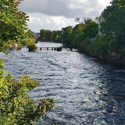 Galway - River Corrib