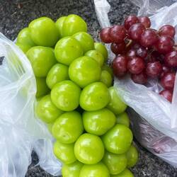 Never seen such grapes