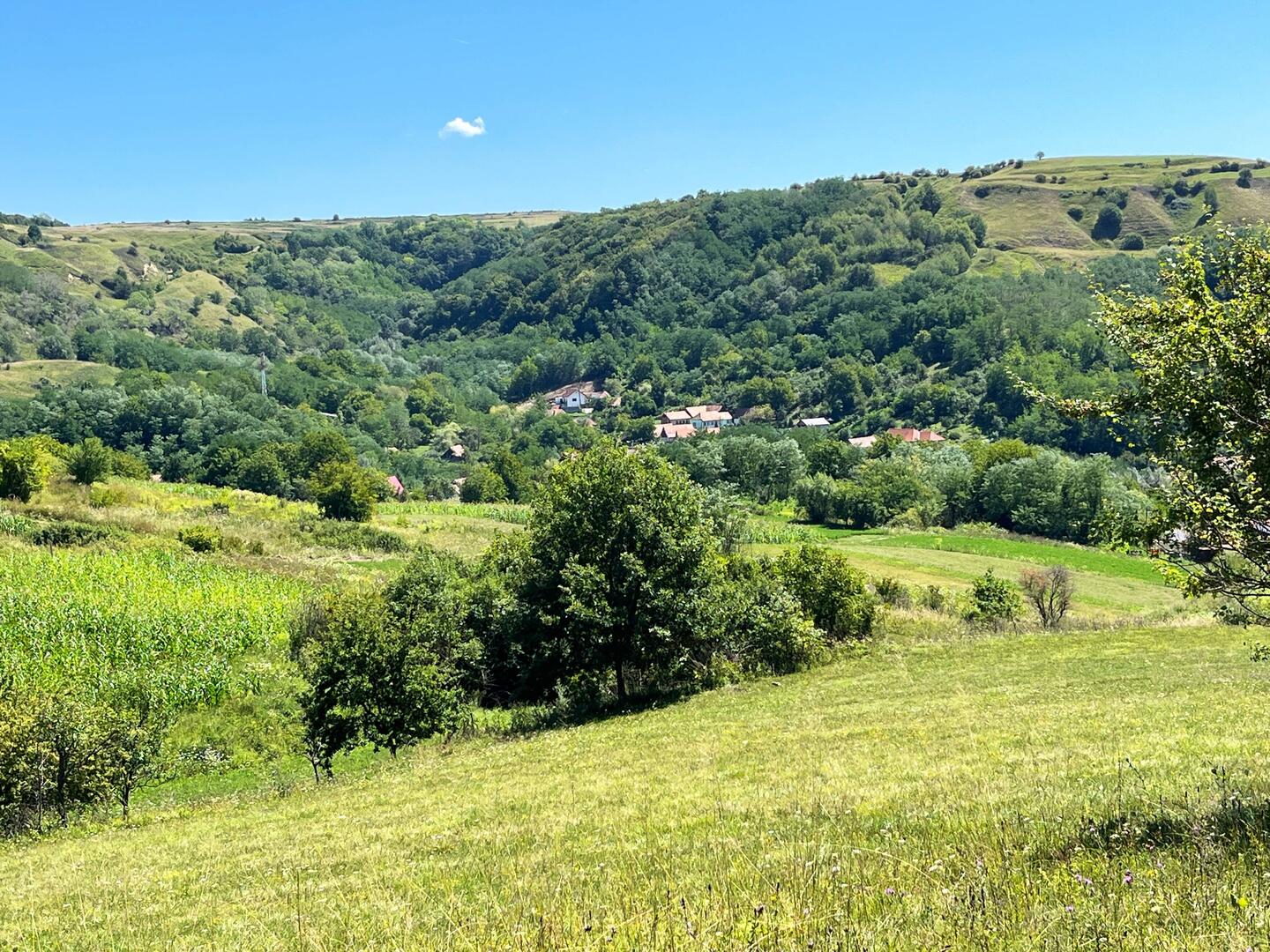 Blick auf Micăsasa