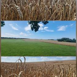 Unterwegs zur Steilküste