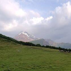 Kazbeg