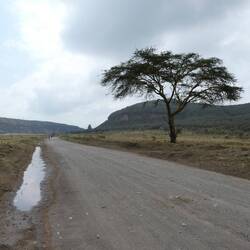 Hells Gate Nationalpark, Inspiration für LionKing