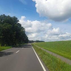 Elb-Landschaft