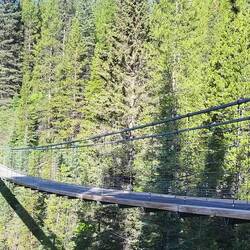 Einen etwas anspruchsvolleren Single Track nahmen wir wegen dieser Pracht-Brücke auf uns