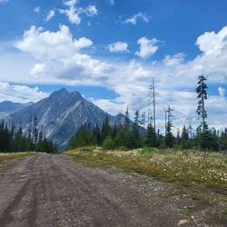 ...bis braun mit Bergpanorama