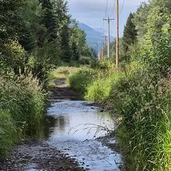 Auch durch die Pfützen kamen wir immer gut durch