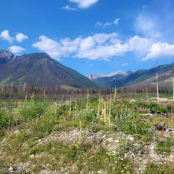 Eine weitere Bilderbuchaussicht