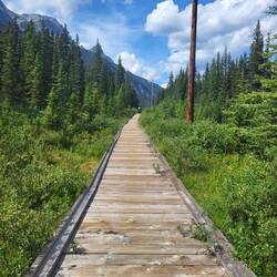Am Ende gab es sogar einen Weg im Neuseeländischen Stil