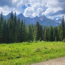Von saftig grün mit Bergpanorama...