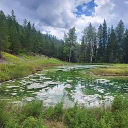 Dieser kündigte sich bereits durch faulen Eier-Geruch frühzeitig an