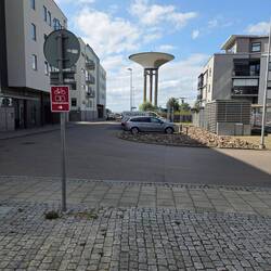 Was auch immer das ist - es sah wild genug aus um ein Foto schießen zu müssen