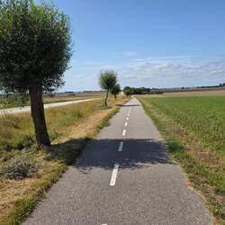 Selbst die Umwege sind schön