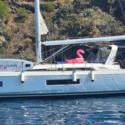 Der Flamingo muß dabei sein