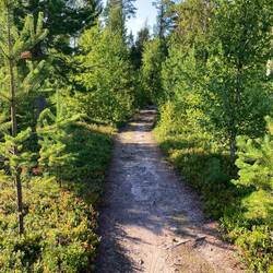 Die Markierung hatte mal aufgehört - Weg ins Irgendwo/Nirgendwo