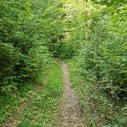 Trails sind auch dabei