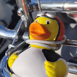 ... Und Quetschi sind auch dabei