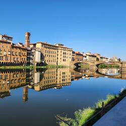 Reflections on the Arno
