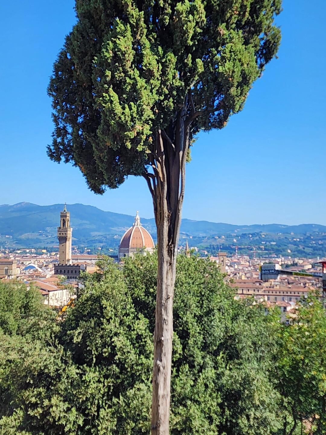 The view over Firenze