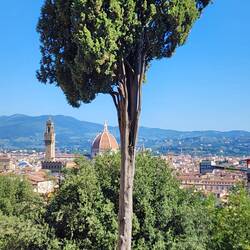 The view over Firenze