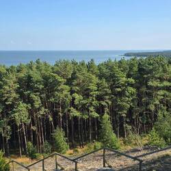 Blick von der Wanderdüne