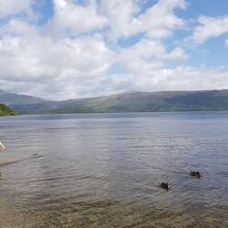 Blick auf Loch Lomond