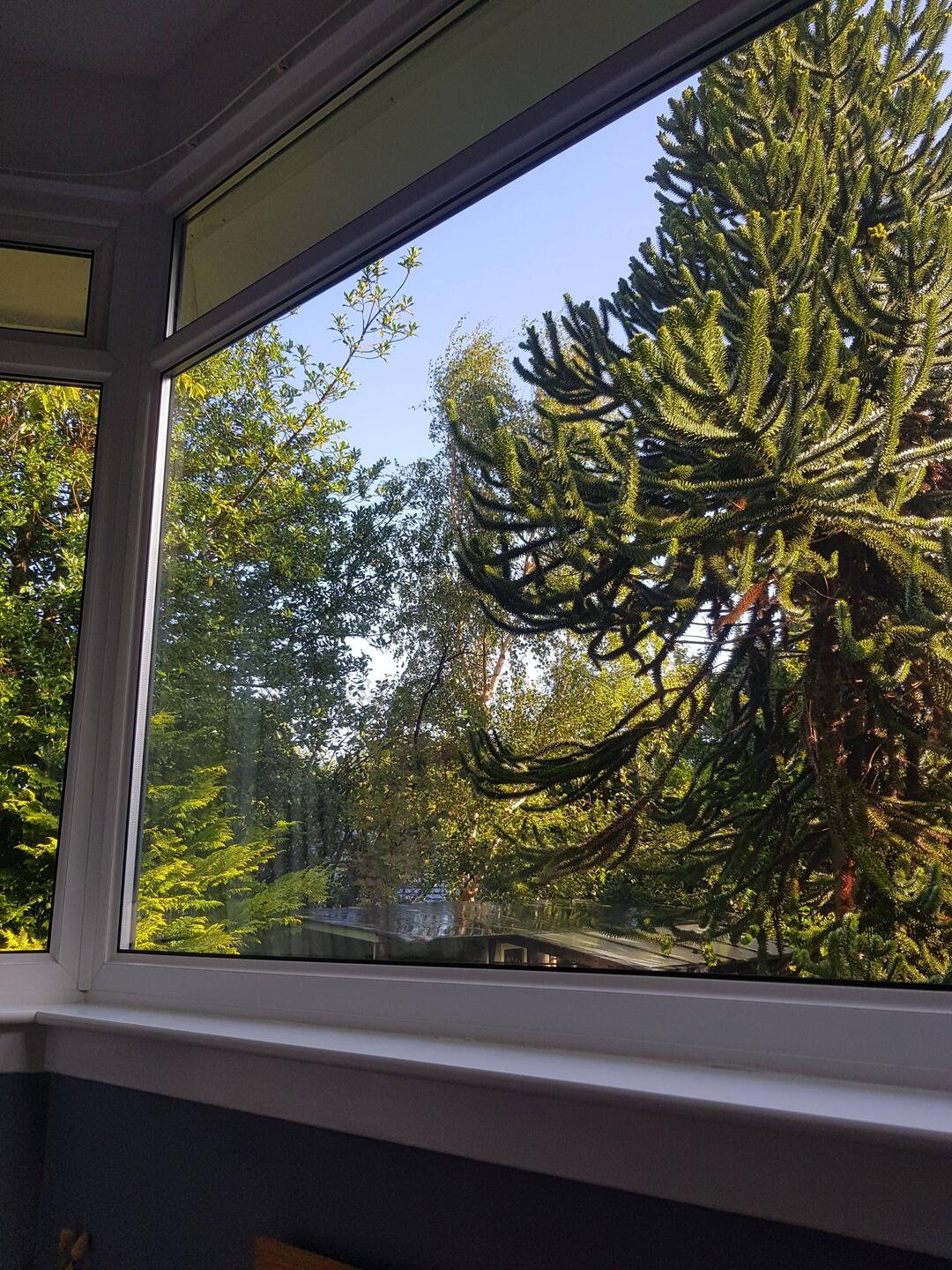 Wir wurden von strahlendem Sonnenschein geweckt.