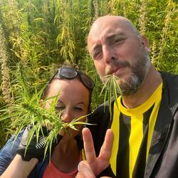 C'est très très très cool de rouler à travers les plantations