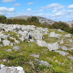 Burren National Park