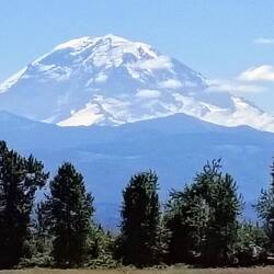 ... zum Mount Rainier