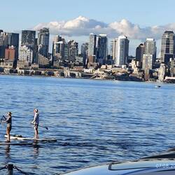 SUP in der Elliott Bay