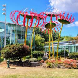 Wieder draußen im Park...