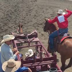 Das Tie Down Roping (nur für Jungs, hier 13-jähriger) ...