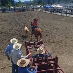 Roping ohne Tie Down für bis 12-jährige, hier Kendras Sohn