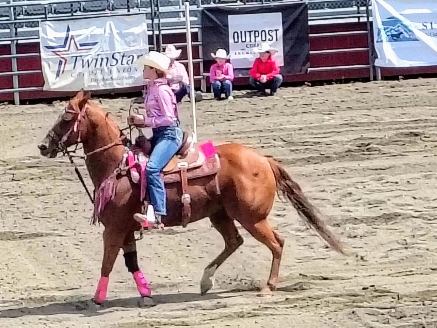 Junior Rodeo - viele Cowgirls 🤠