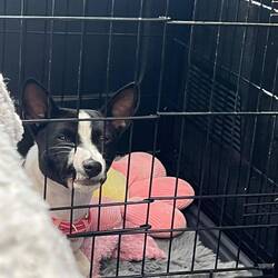 Muss ich noch lang hier drin bleiben👿