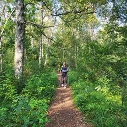 Weiche Wege mit Rindenmulch bedeckt.