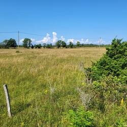 Inselrundfahrt 🚴🚴‍♂️ Muhu.
