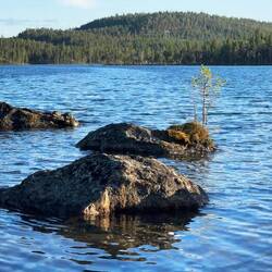 Der Immobilienmarkt gibt nur Einbaumwohnungen her...