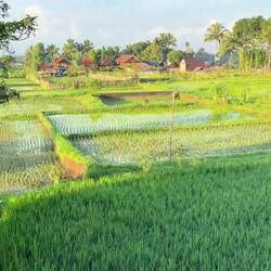 View from our rooftop 🤗